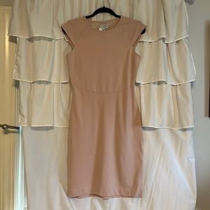 Carmen Marc Valvo Blush Pink Dress Size Small NWT